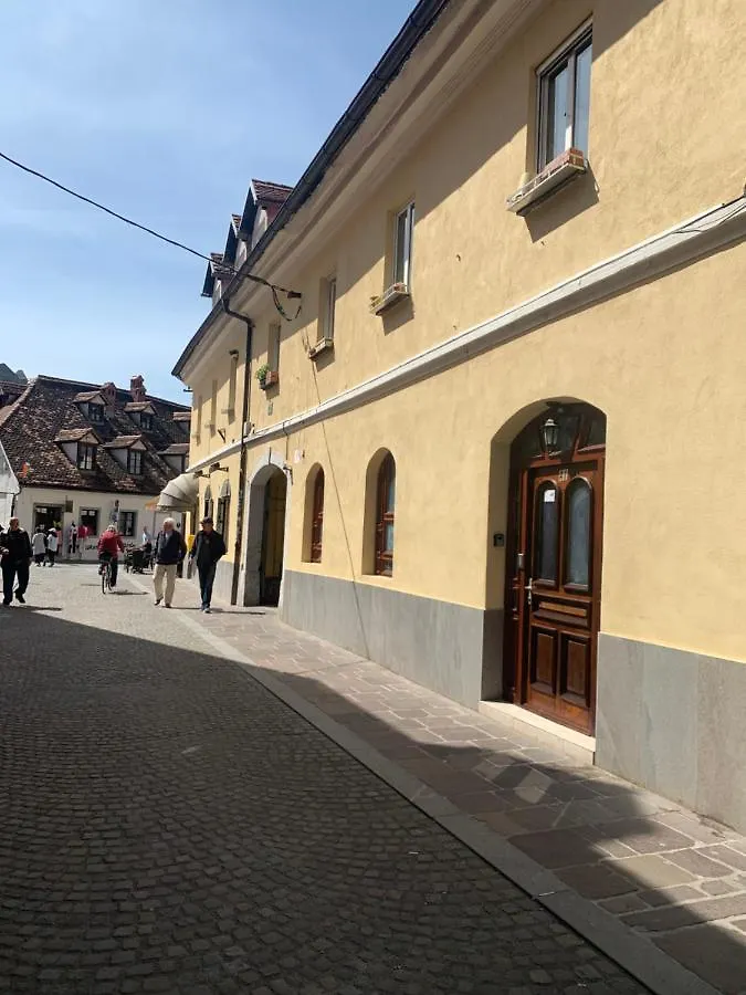 Ljubljana City Center Apartment